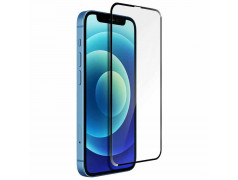Protection en verre trempé pour iPhone 12 Pro Max