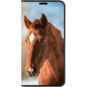 Etui iPhone 17 Pro max à personnaliser